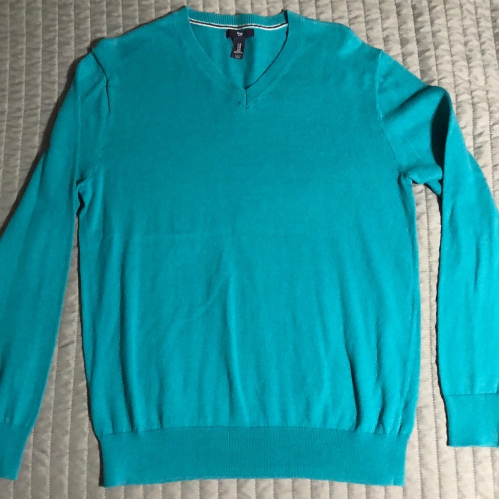 Men’s Turquoise V-neck Gap Sweater